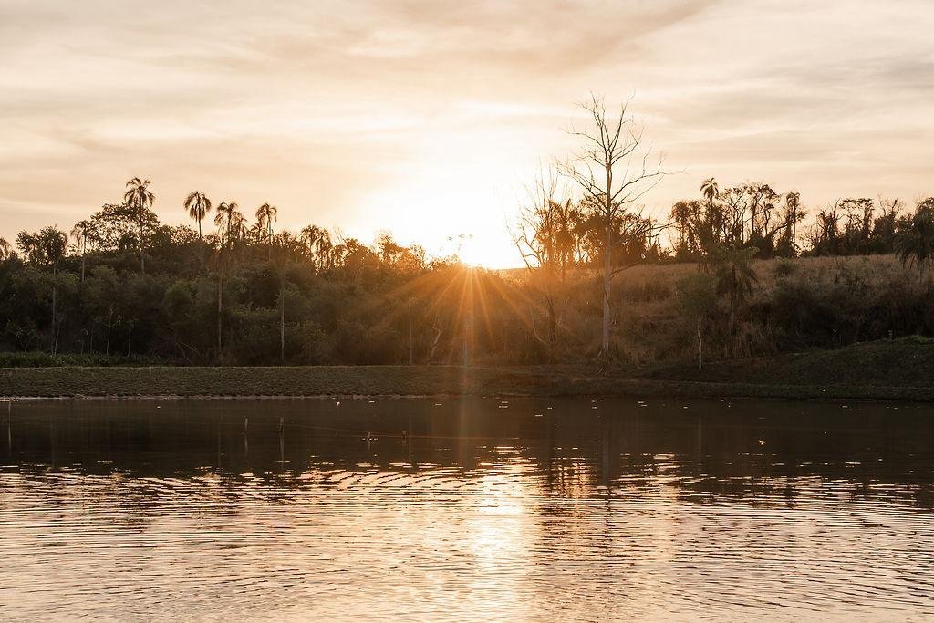 WhatsApp Image 2026-03-04 at 16.11.07